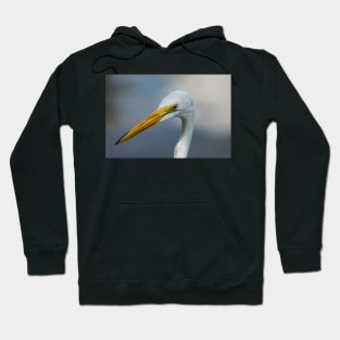 Large egret in wildlife preserve Hoodie